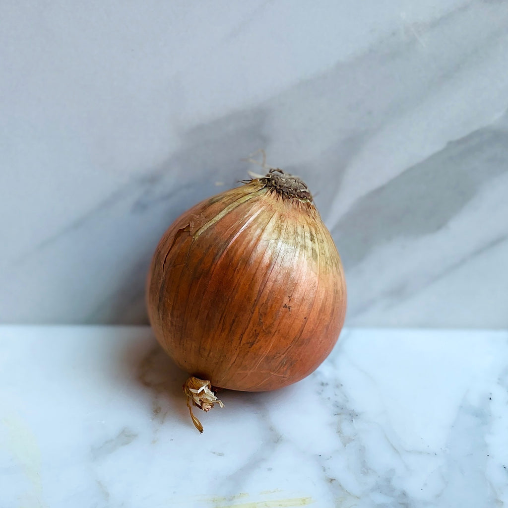 Onion - Yellow Jumbo - Organic
